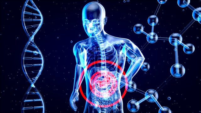 CBD und die Leber: Was Sie wissen müssen